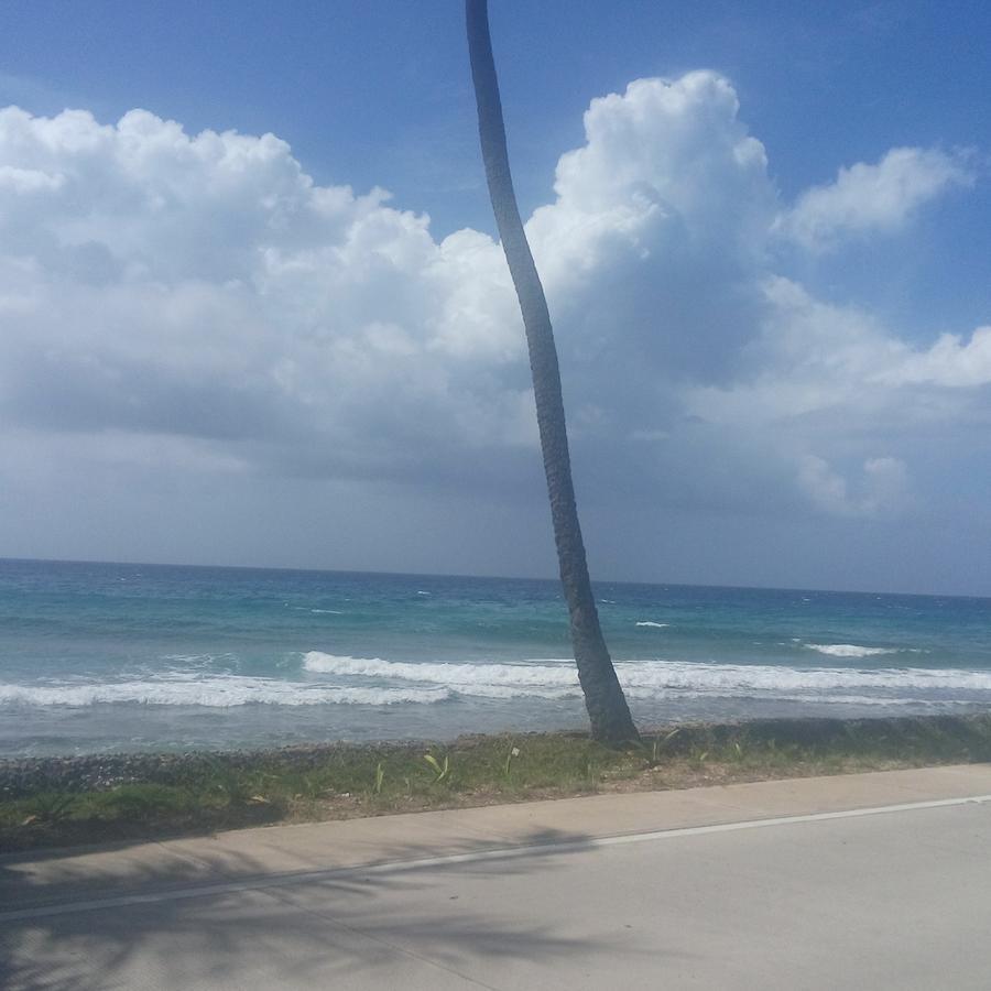 San Andrés Apartahotel Miramar الغرفة الصورة